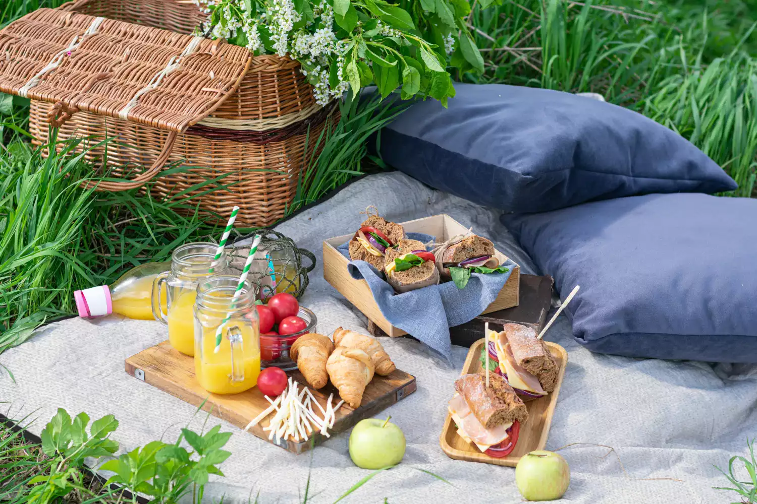 best picnic blanket