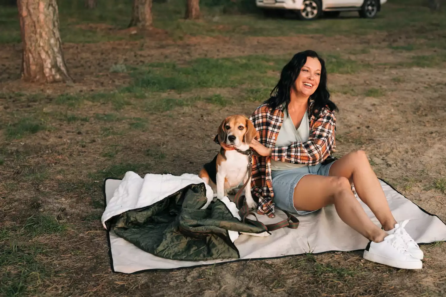 deluxe picnic blanket